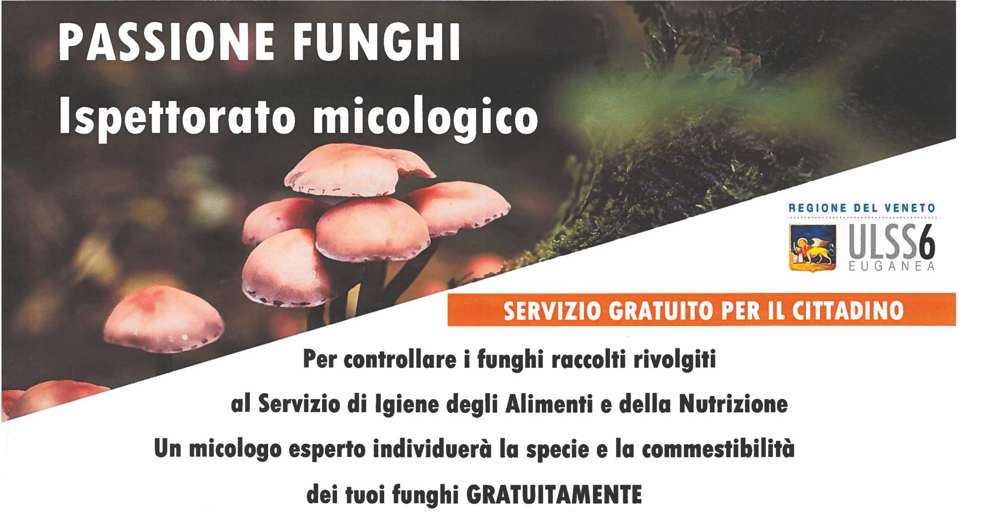 senza_titolo-1_6